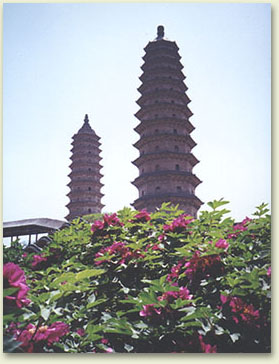 2ta.jpg (39432 �ֽ�)