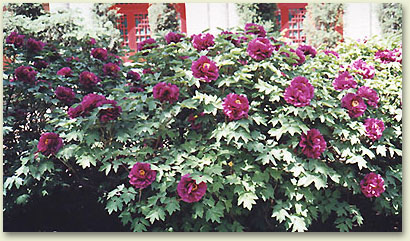 md03.jpg (71948 �ֽ�)