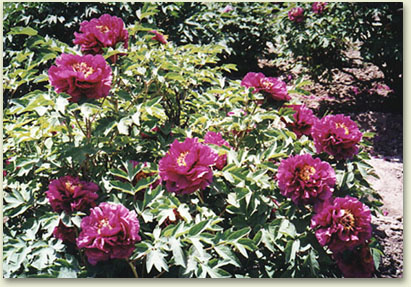 md04.jpg (81310 �ֽ�)