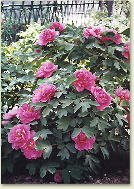 md05.jpg (65259 �ֽ�)